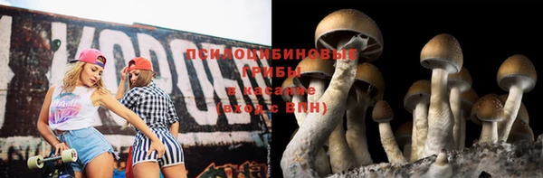 СК Аркадак