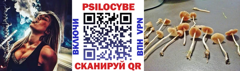 где найти наркотики  omg ссылки  Галлюциногенные грибы ЛСД  Кинель 