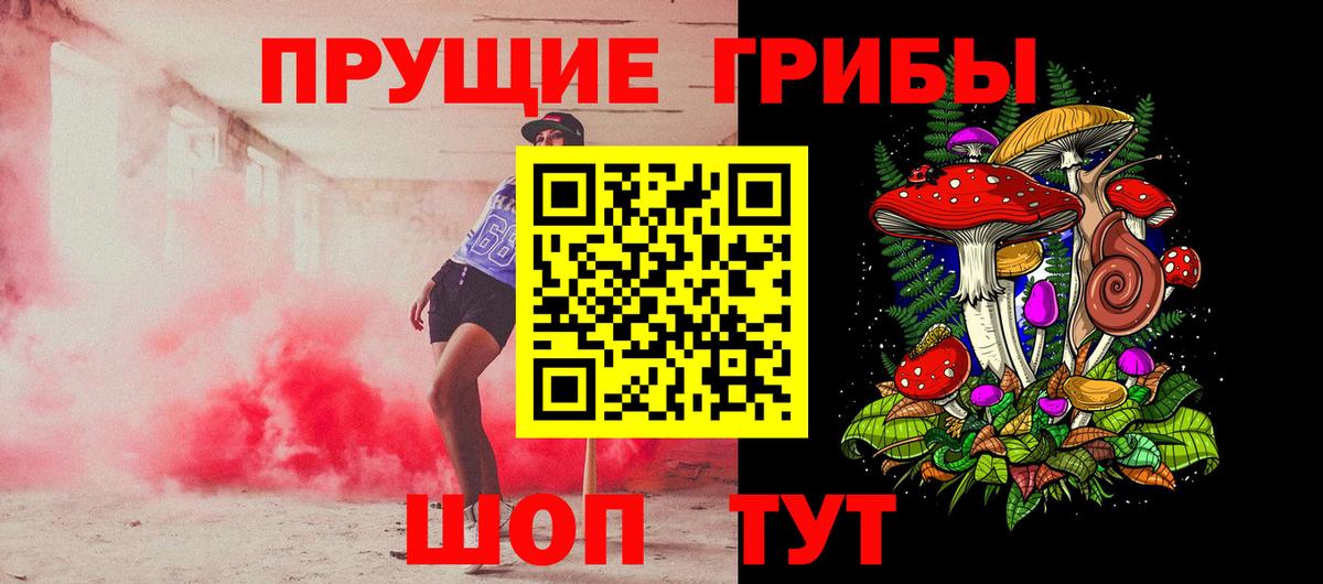 Кинель  Псилоцибиновые грибы мицелий  Вход с VPN 