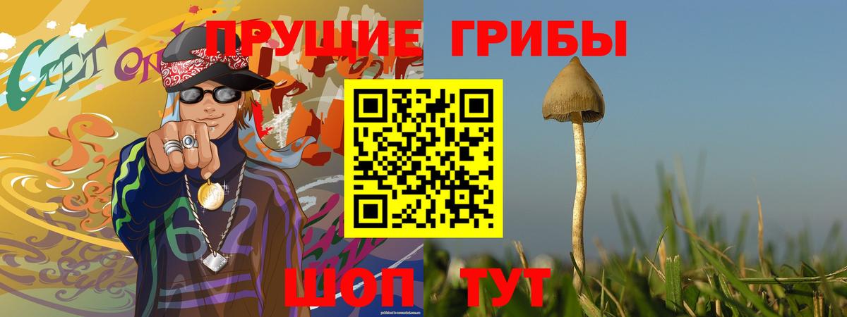 Псилоцибиновые грибы MAGIC MUSHROOMS Кинель